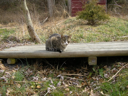 Picture 002